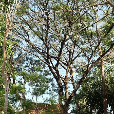 פנתאי צנאנג Rumah Jah Langkawi מראה חיצוני תמונה