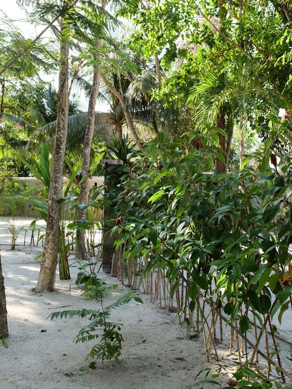 פנתאי צנאנג Rumah Jah Langkawi מראה חיצוני תמונה